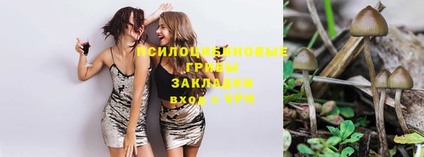 2c-b Горняк