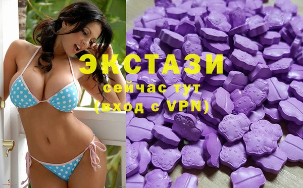 2c-b Горняк