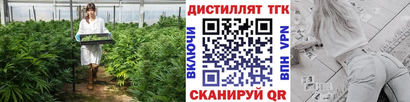 Купить где  Ильский  Дистиллят ТГК концентрат 